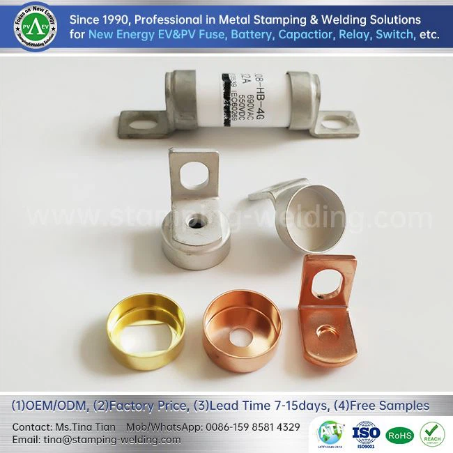 EV Fuse (Electric Vehicle Fuse)