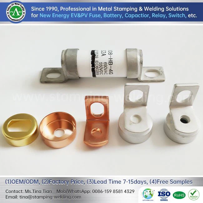 New Energy Vehicles Fuse